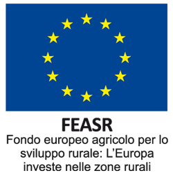 1. logo-unione feasr