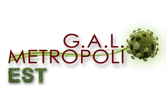 6. LOGO GAL METROPOLI EST DEF